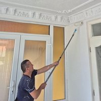 Maler streicht eine Wand